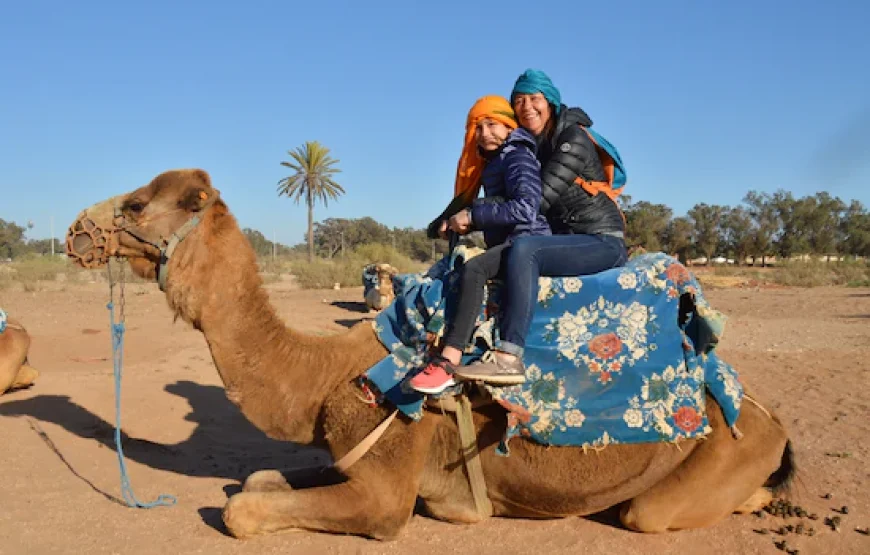 Agadir: Camel ride