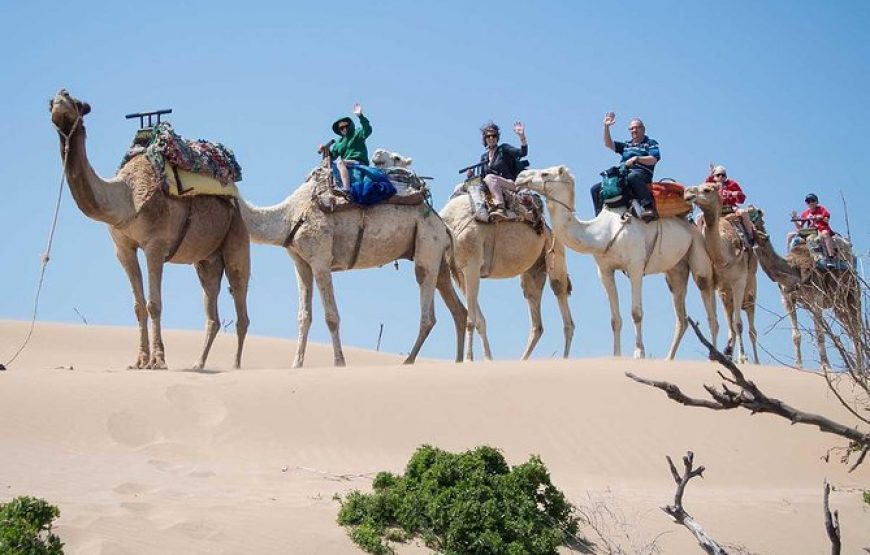 Day Trip To Small Sahara Desert + lunch From Agadir