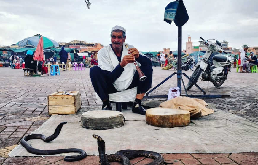 Marrakech Day Trip From Agadir