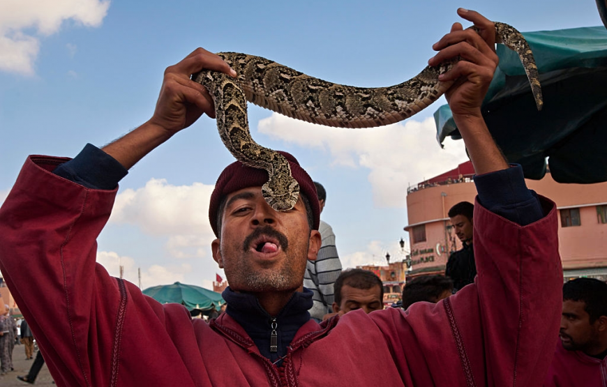 Marrakech Day Trip From Agadir