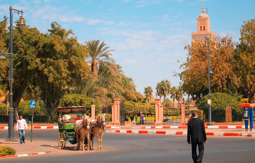 Marrakech Day Trip From Agadir