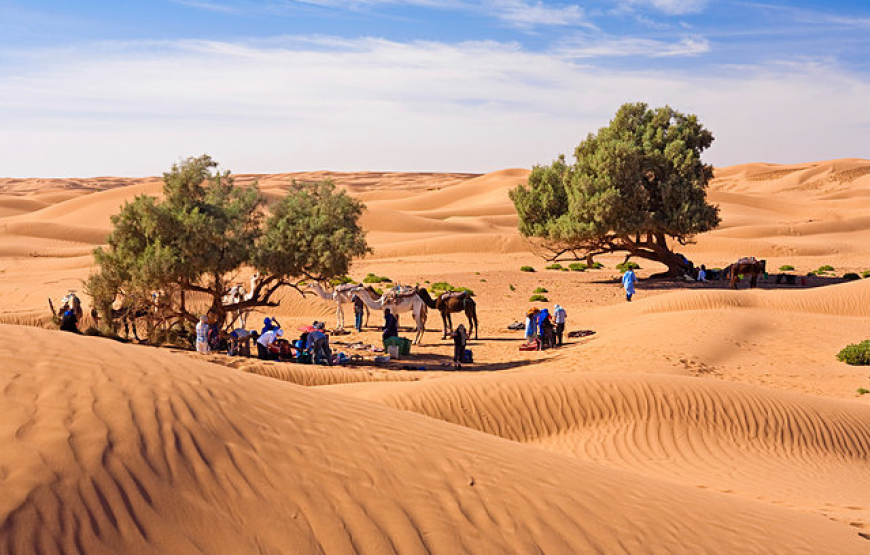Day Trip To Small Sahara Desert + lunch From Agadir