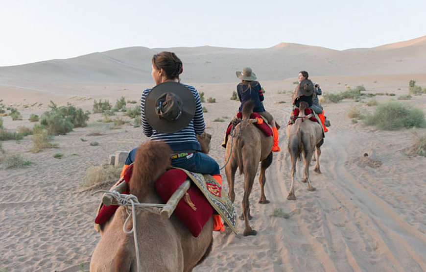 Day Trip To Small Sahara Desert + lunch From Agadir