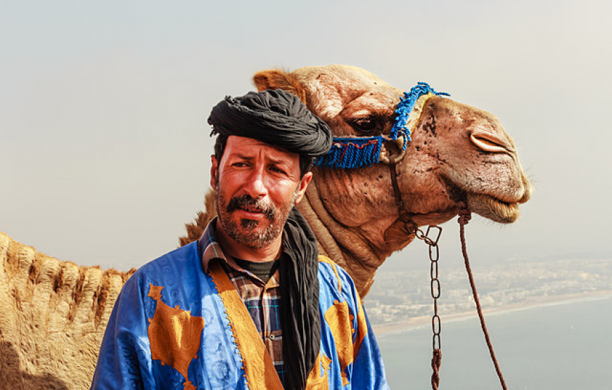 Agadir: Camel ride