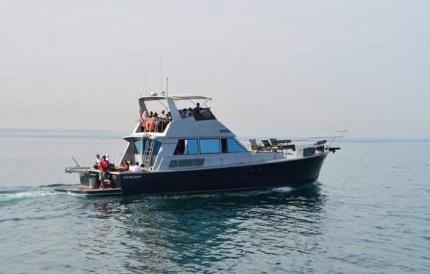 Agadir Boat Trip with Lunch