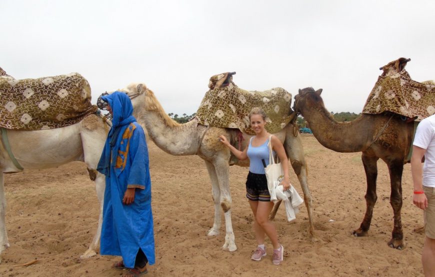 Agadir: Camel ride