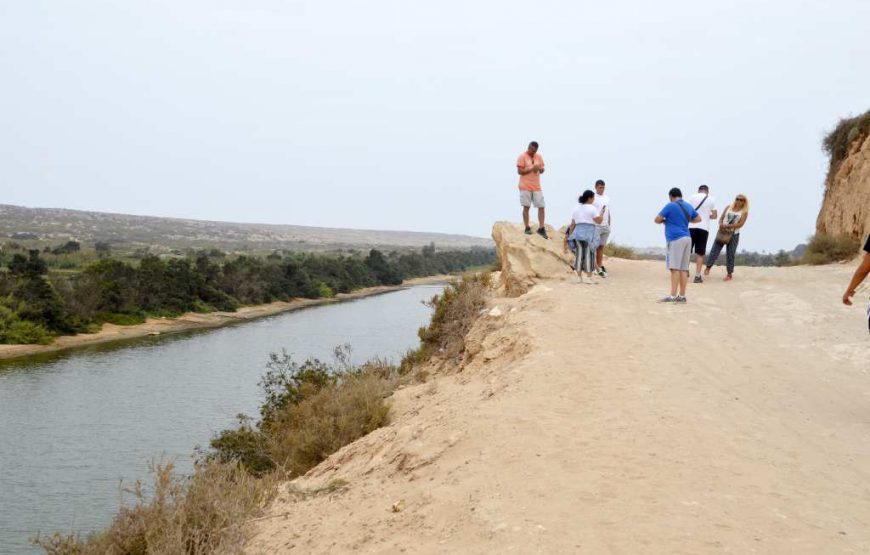 Day Trip To Small Sahara Desert + lunch From Agadir