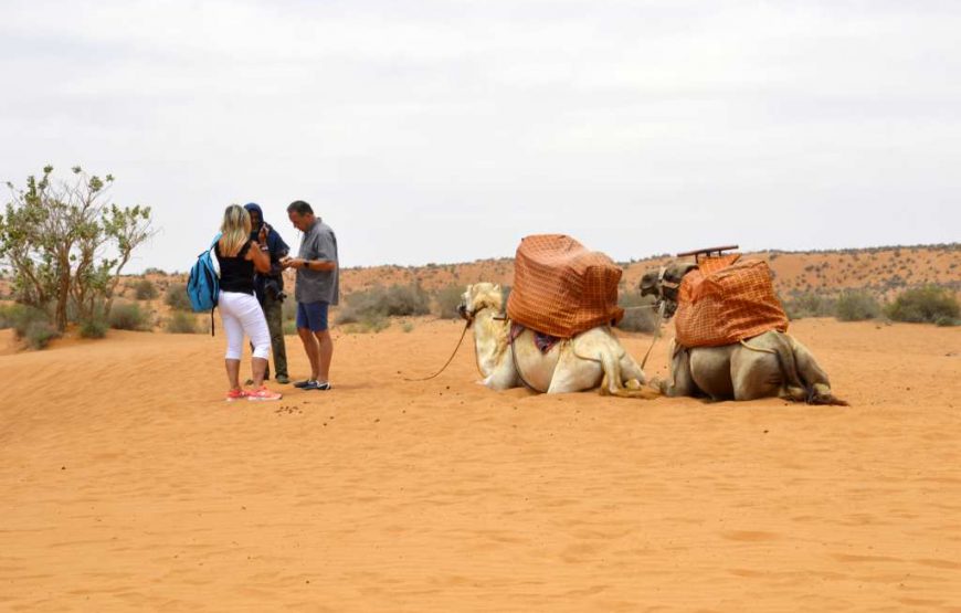 Day Trip To Small Sahara Desert + lunch From Agadir