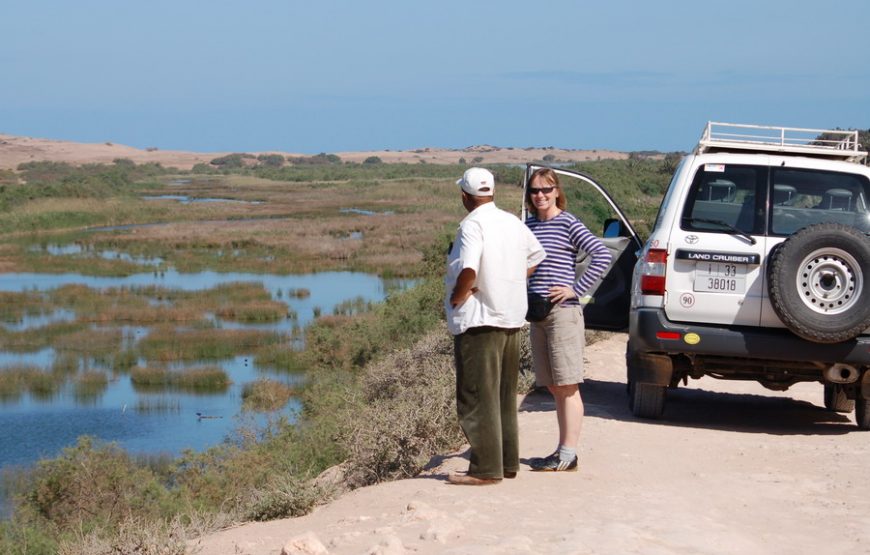 Day Trip To Small Sahara Desert + lunch From Agadir