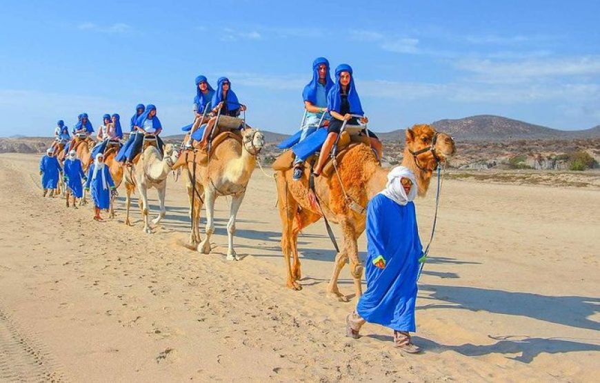 Agadir: Camel ride