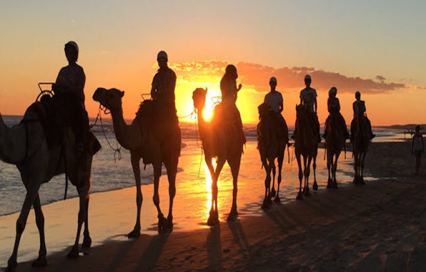 Sunset Camel Ride Tour In Agadir
