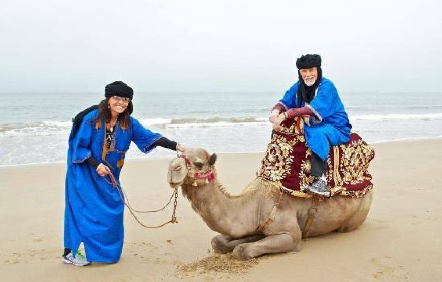 Agadir: Camel ride