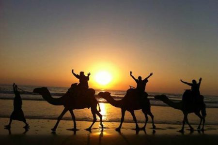 Sunset Camel Ride Tour In Agadir