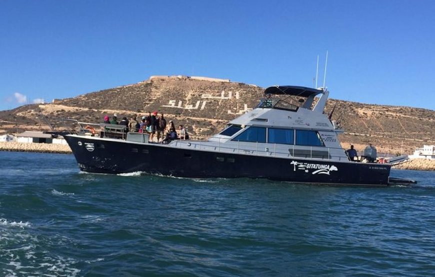 Agadir Boat Trip with Lunch