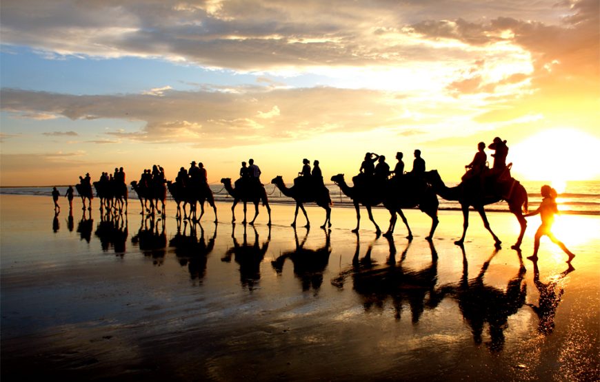 Agadir: Camel ride