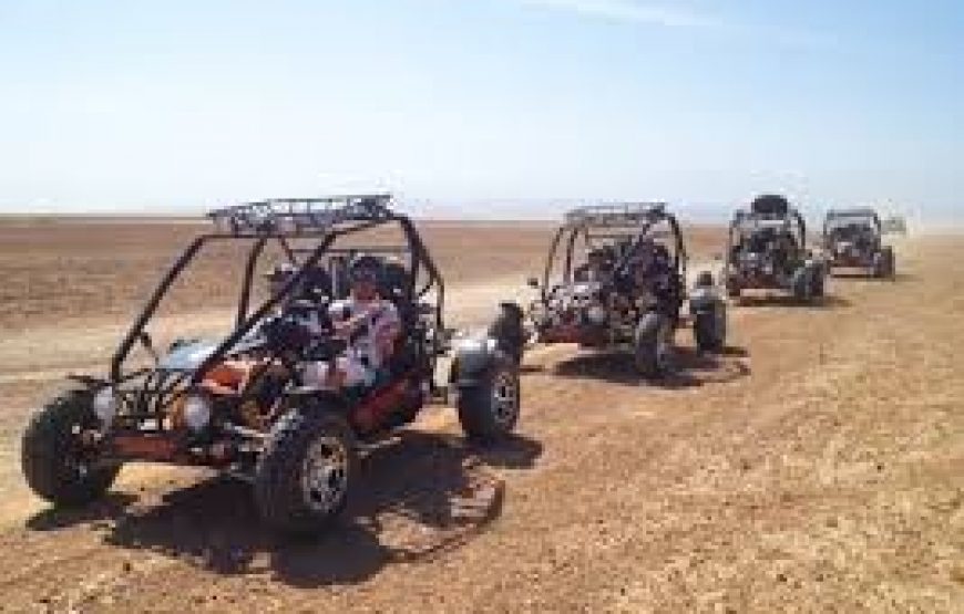 Agadir Buggy– Half-Day Adventure