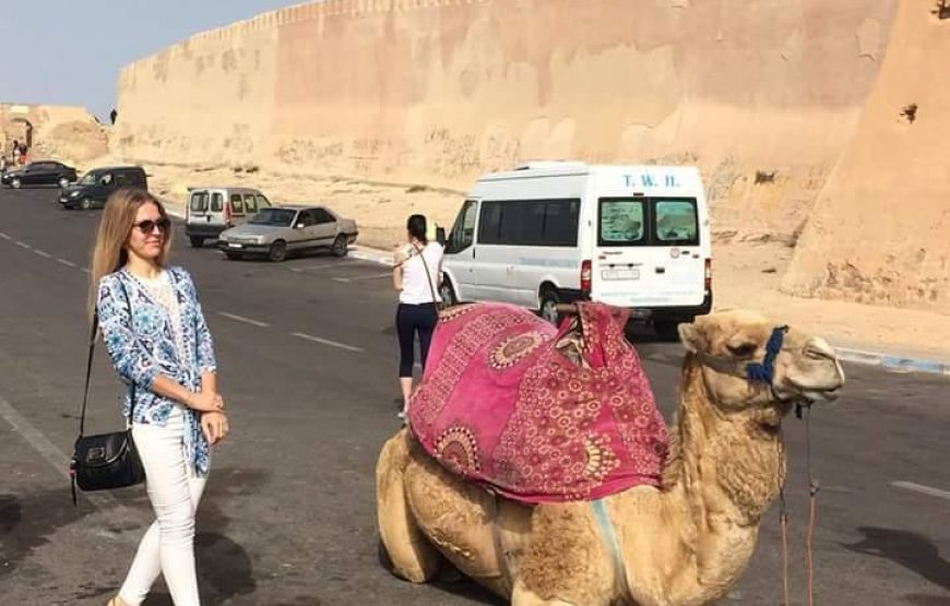 Agadir Half-Day Guided City Tour