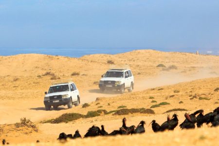 Day Trip To Small Sahara Desert + lunch From Agadir