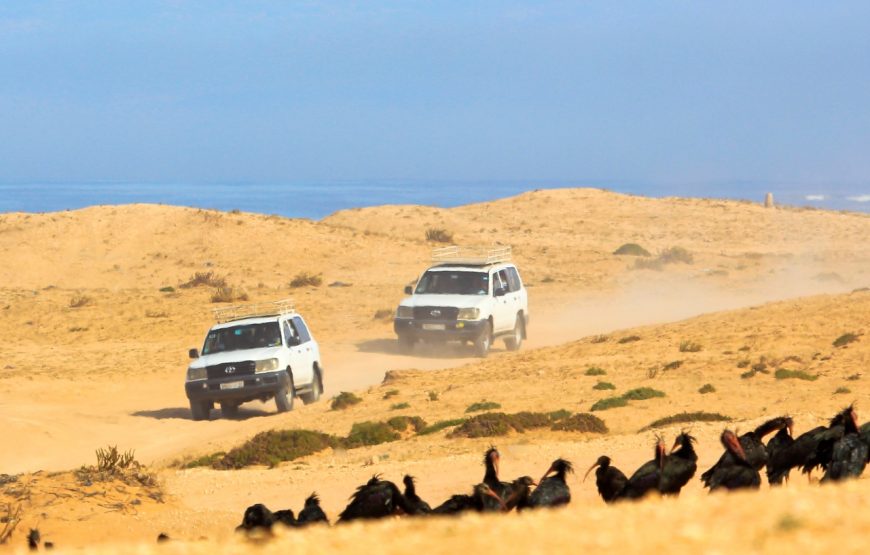 Day Trip To Small Sahara Desert + lunch From Agadir