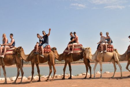 Agadir: Camel ride