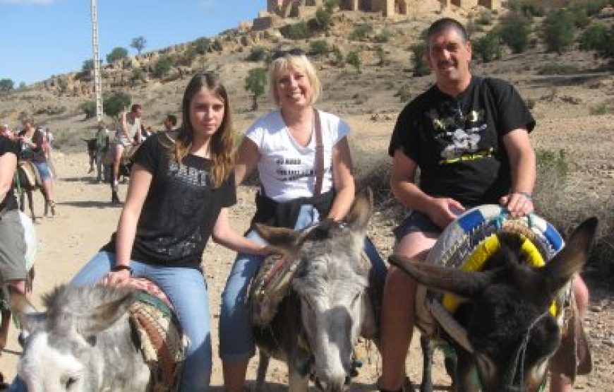Agadir Day Trip to ​Taroudant & Tiout