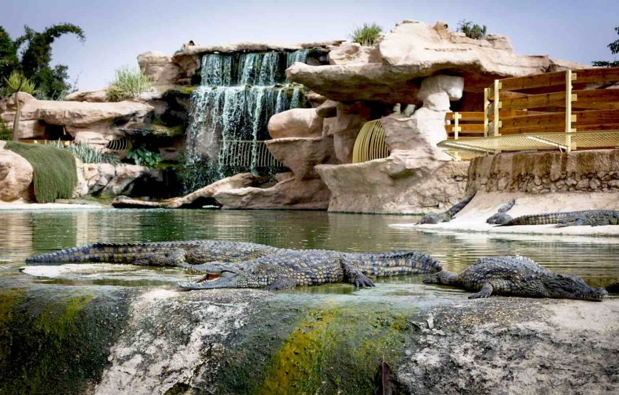 CrocoParc in Agadir