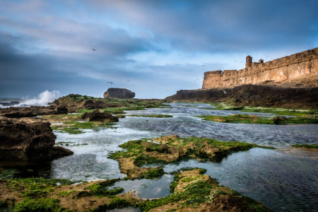 Full Day Trip To Essaouira From Agadir