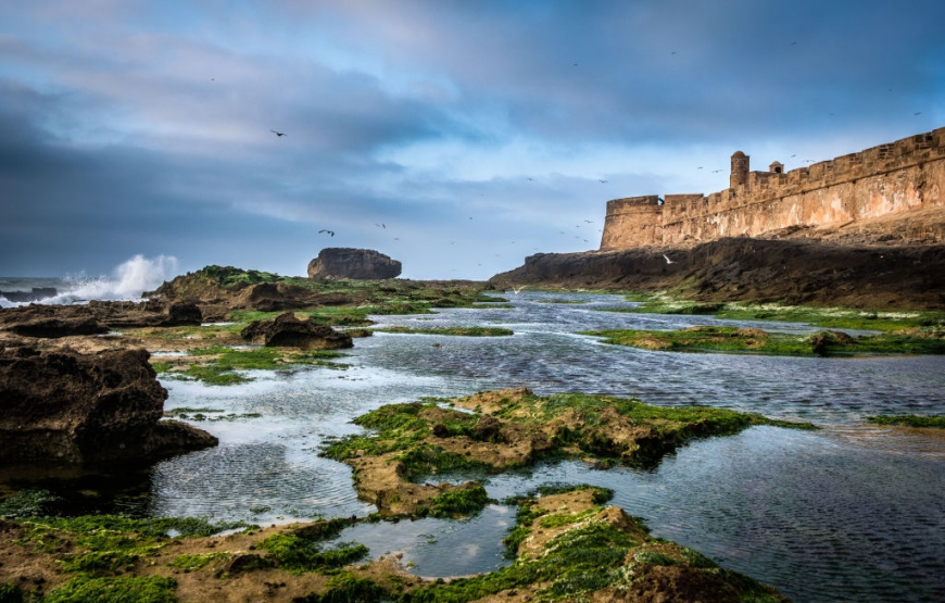 Full Day Trip To Essaouira From Agadir