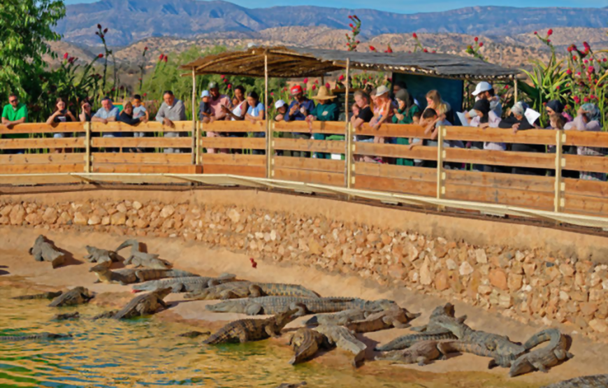 CrocoParc in Agadir