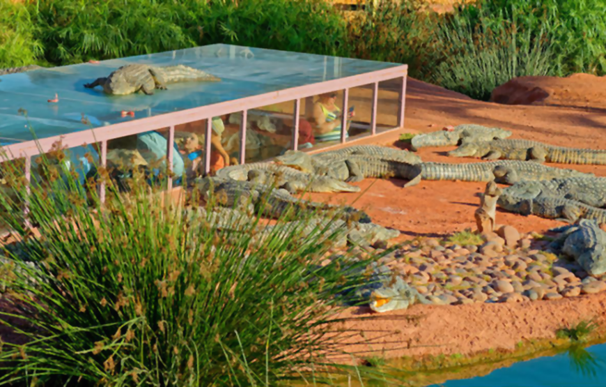 CrocoParc in Agadir
