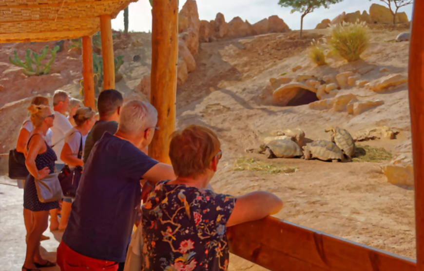 CrocoParc in Agadir