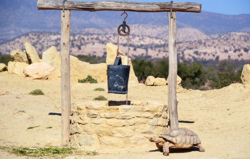 CrocoParc in Agadir