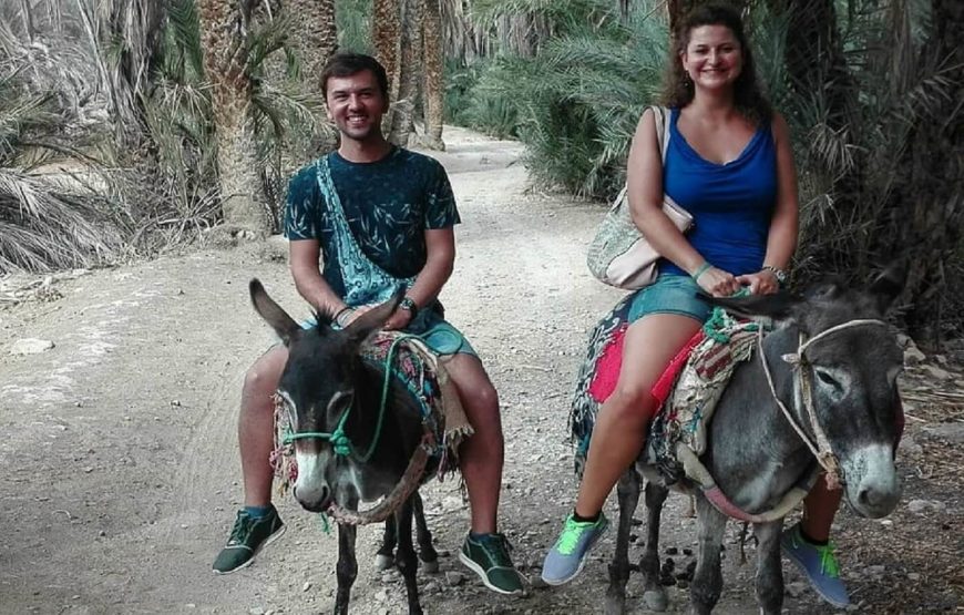Agadir Day Trip to ​Taroudant & Tiout