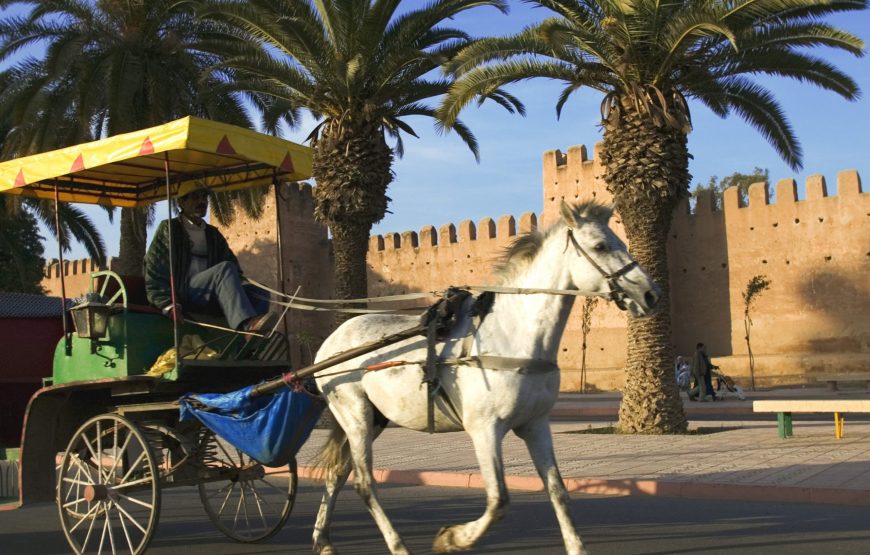 Agadir Day Trip to ​Taroudant & Tiout