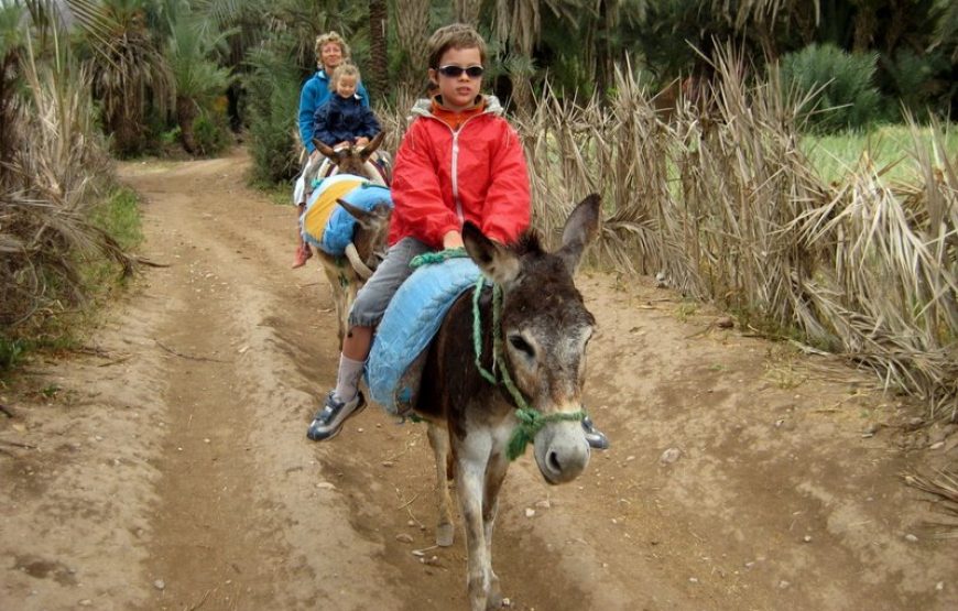 Agadir Day Trip to ​Taroudant & Tiout