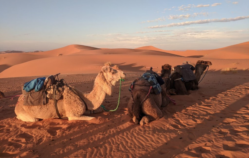 Sahara and Bivouac Elborj – 2 Days From Agadir