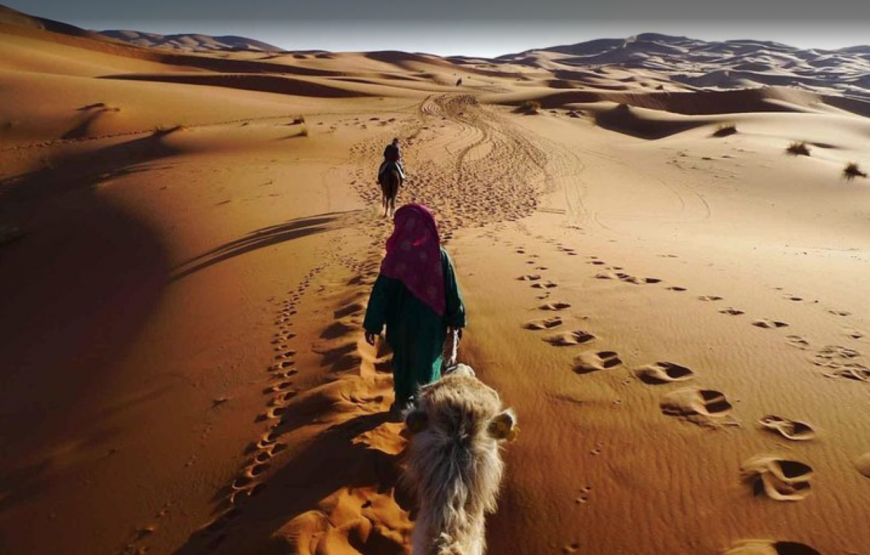 Sahara and Bivouac Elborj – 2 Days From Agadir