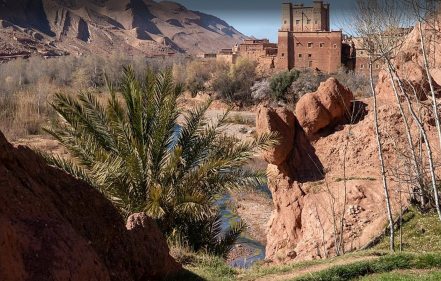 2 Days Tours : Bivouac & Sahara Zagora from Agadir