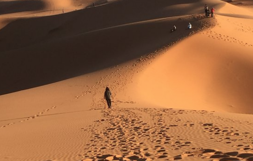 2 Days Tours : Bivouac & Sahara Zagora from Agadir