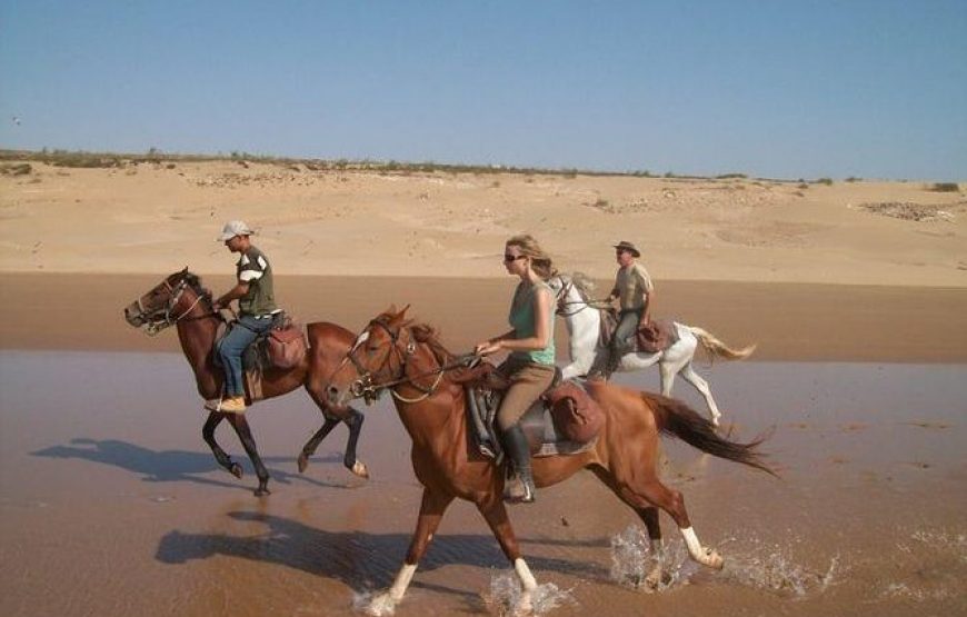 Agadir Horse Ride