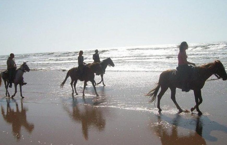 Agadir Horse Ride