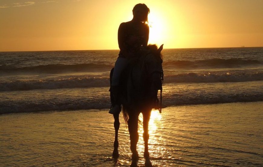 Agadir Horse Ride