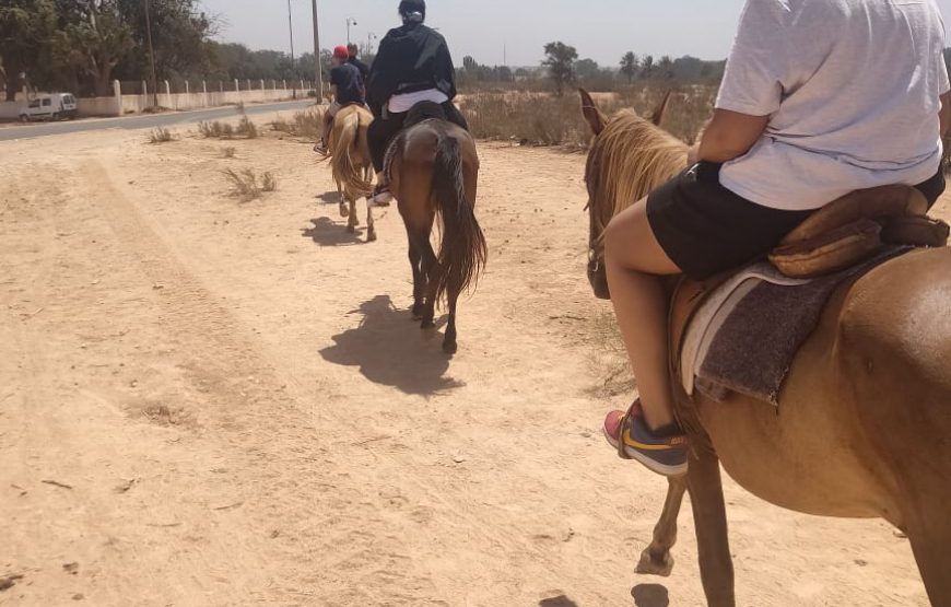 Agadir Horse Ride