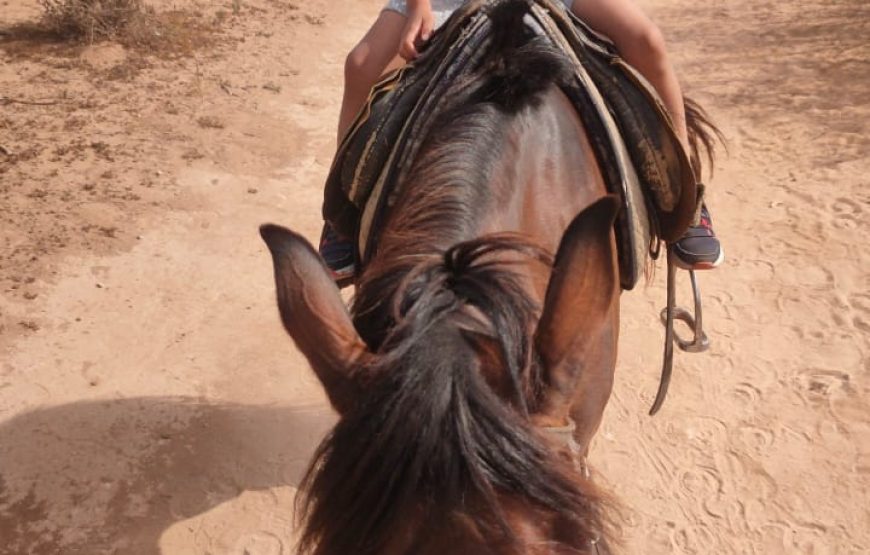 Agadir Horse Ride