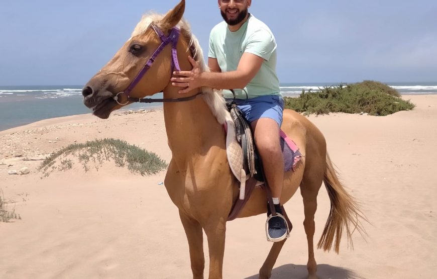 Agadir Horse Ride