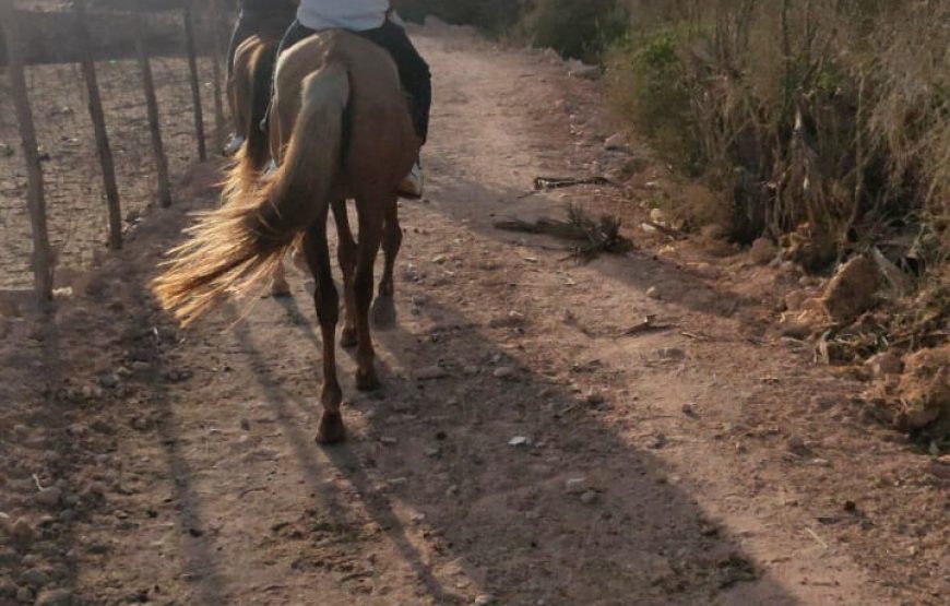 Agadir Horse Ride