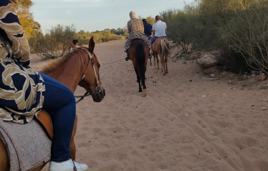 Agadir Horse Ride