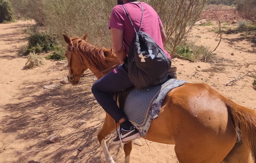 Agadir Horse Ride