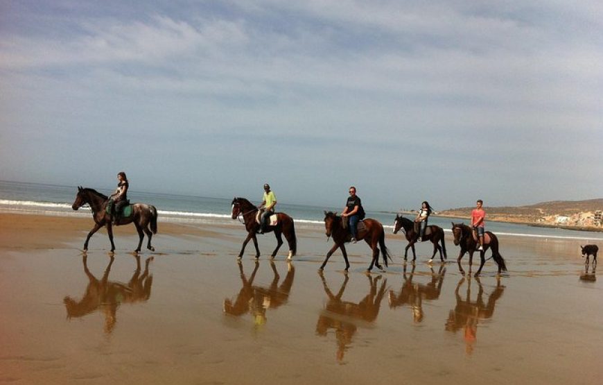 Agadir Horse Ride