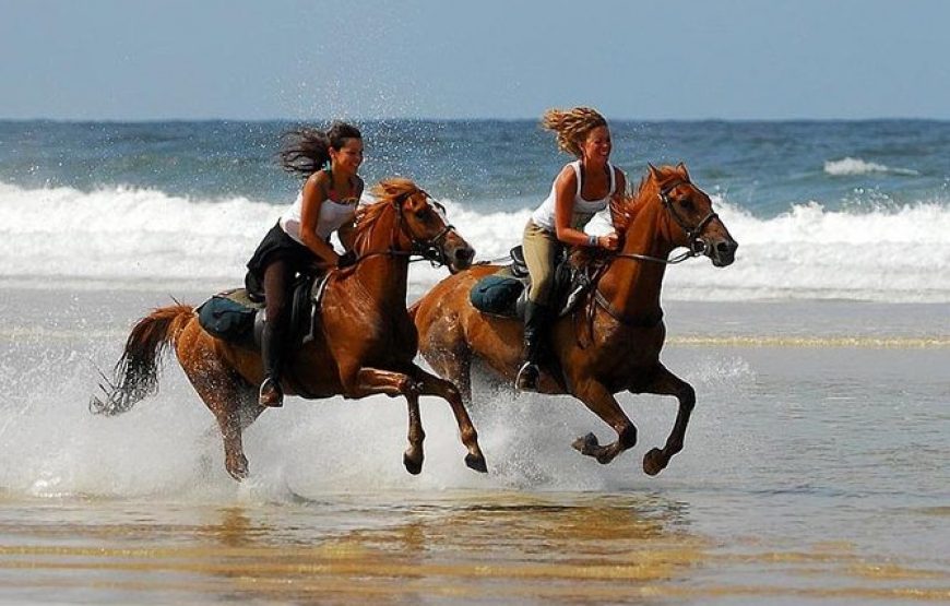Agadir Horse Ride